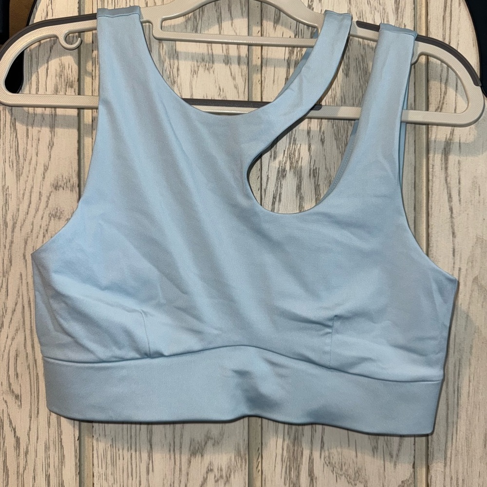Fabletics Light Blue Sports Bra